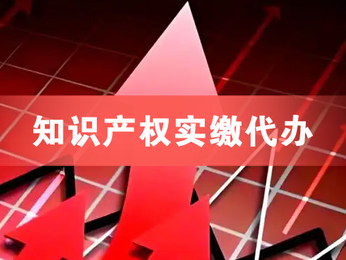 陇南知识产权实缴资本代办